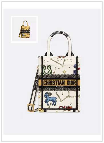 Picture of Dior Lady Handbags _SKUfw141273331fw